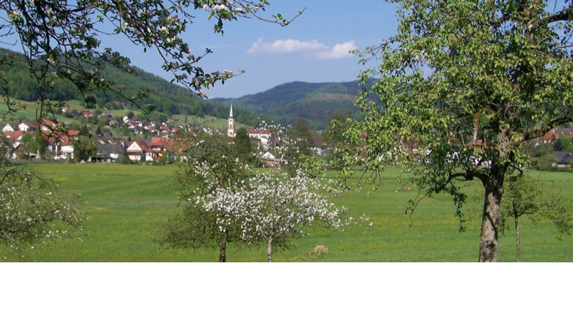 Reichenbach